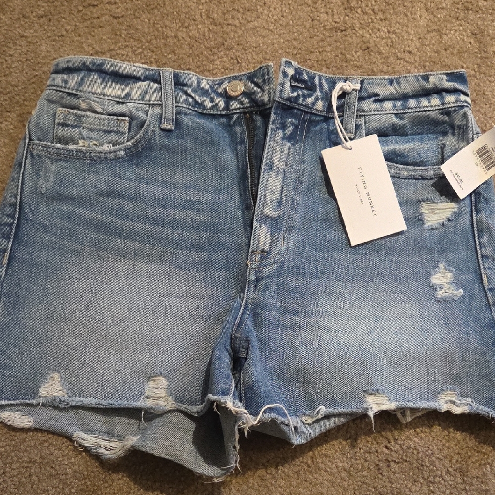 Flying Monkey Light Blue Distressed Jean Shorts